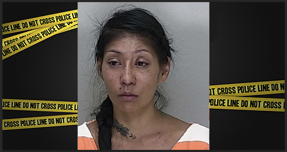 Deputies: Woman Stole Same Vehicle Twice, Found with Vodka After DUI Calls